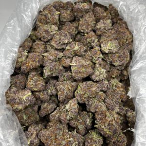 Ghost Train Haze Strain for sale